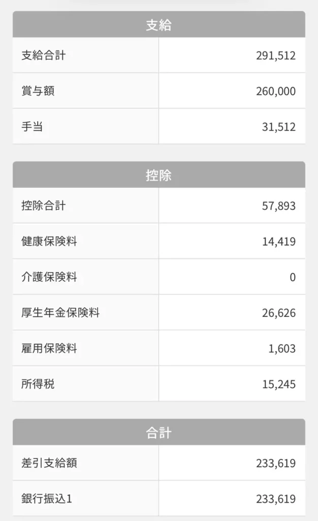 2025年度6月賞与（ボーナス）